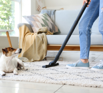 Pet Odor Removal Mr. A Plus Carpet Cleaner